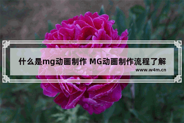 什么是mg动画制作 MG动画制作流程了解