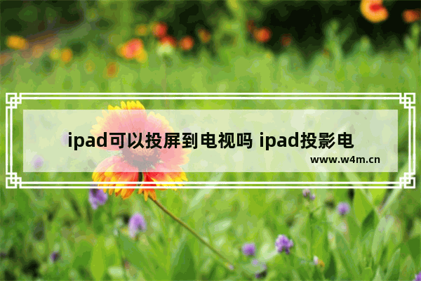 ipad可以投屏到电视吗 ipad投影电视机的办法