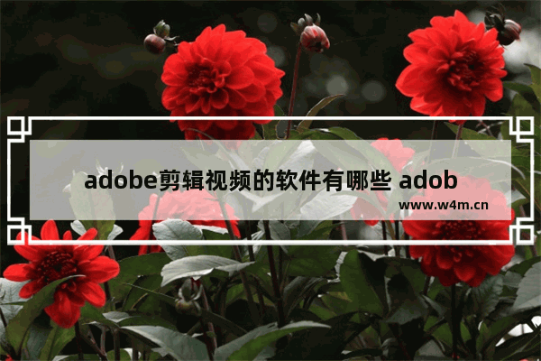 adobe剪辑视频的软件有哪些 adobe常用的软件推荐