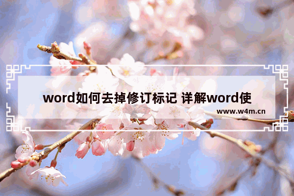 word如何去掉修订标记 详解word使用技巧