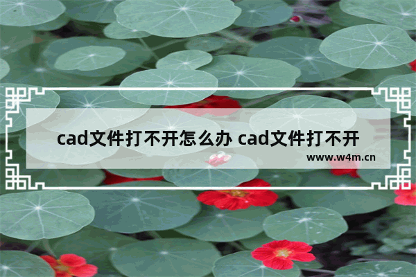 cad文件打不开怎么办 cad文件打不开原因及解决办法