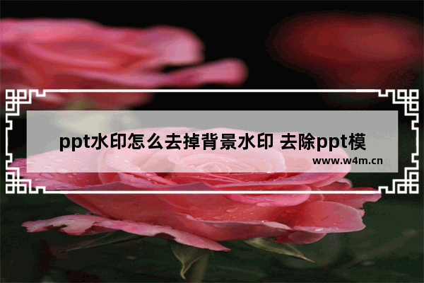 ppt水印怎么去掉背景水印 去除ppt模板水印的步骤