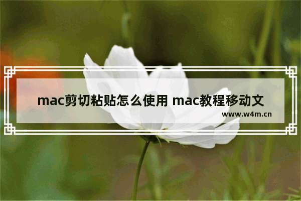 mac剪切粘贴怎么使用 mac教程移动文件的三种方法