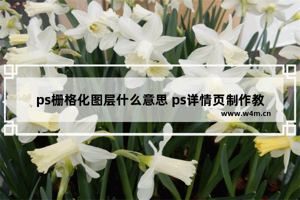 ps栅格化图层什么意思 ps详情页制作教程