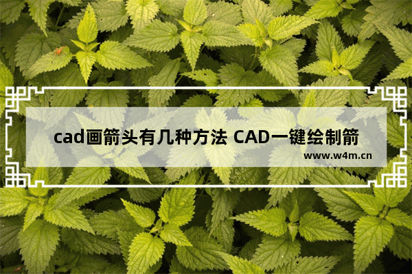 cad画箭头有几种方法 CAD一键绘制箭头的教学