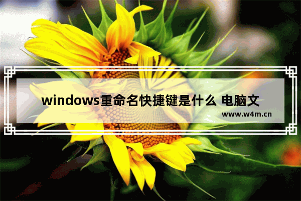 windows重命名快捷键是什么 电脑文件改名快捷键分享