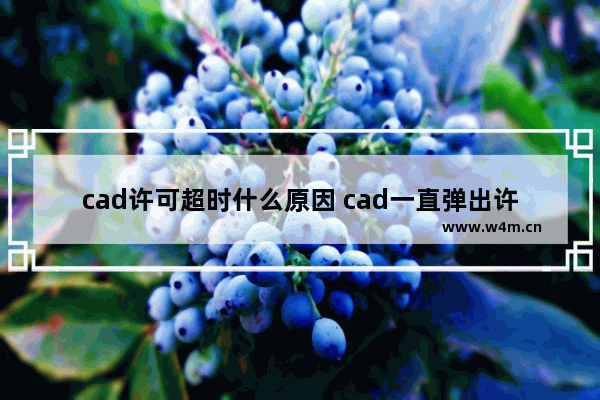 cad许可超时什么原因 cad一直弹出许可检出超时的原因寻找