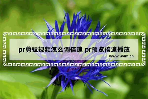 pr剪辑视频怎么调倍速 pr预览倍速播放快捷键