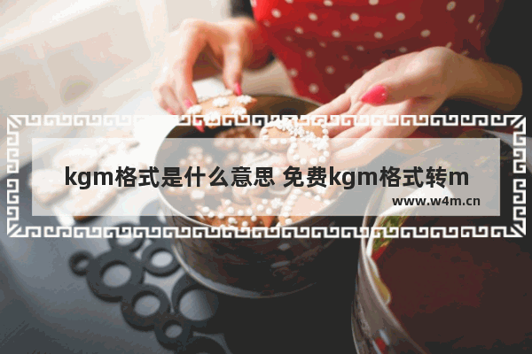 kgm格式是什么意思 免费kgm格式转mp3了解