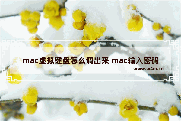 mac虚拟键盘怎么调出来 mac输入密码调出软键盘的方法