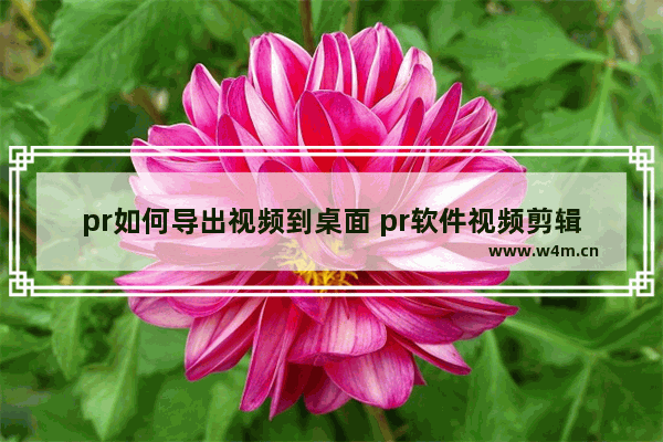 pr如何导出视频到桌面 pr软件视频剪辑教程