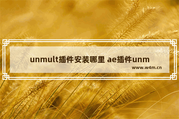 unmult插件安装哪里 ae插件unmult安装教程