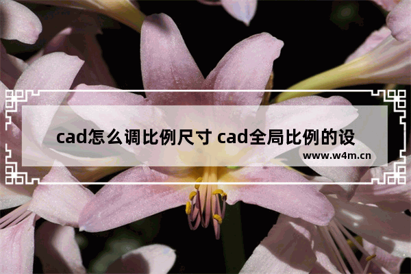 cad怎么调比例尺寸 cad全局比例的设置