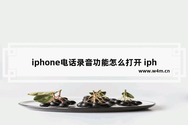 iphone电话录音功能怎么打开 iphone来电录音的方法