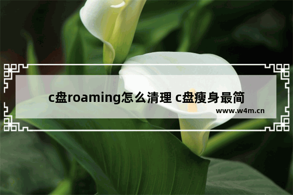 c盘roaming怎么清理 c盘瘦身最简单的方法分享