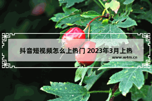 抖音短视频怎么上热门 2023年3月上热门的操作方法