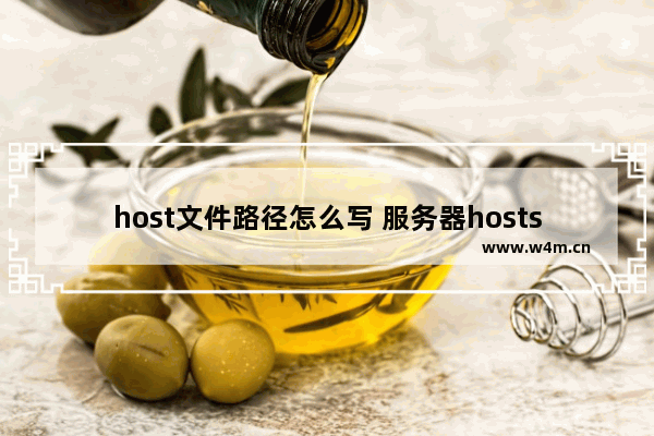 host文件路径怎么写 服务器hosts文件位置