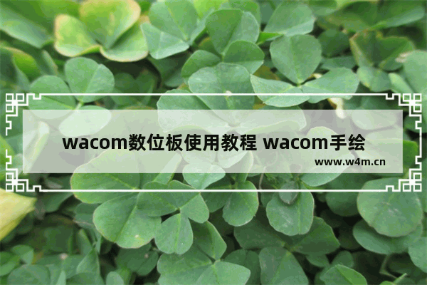 wacom数位板使用教程 wacom手绘板使用方法