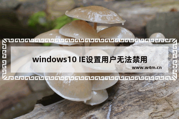 windows10 IE设置用户无法禁用加载项的方法