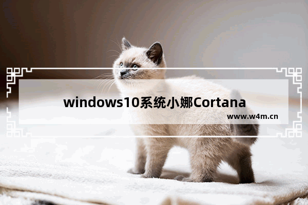 windows10系统小娜Cortana经常处于离线状态怎么修复？