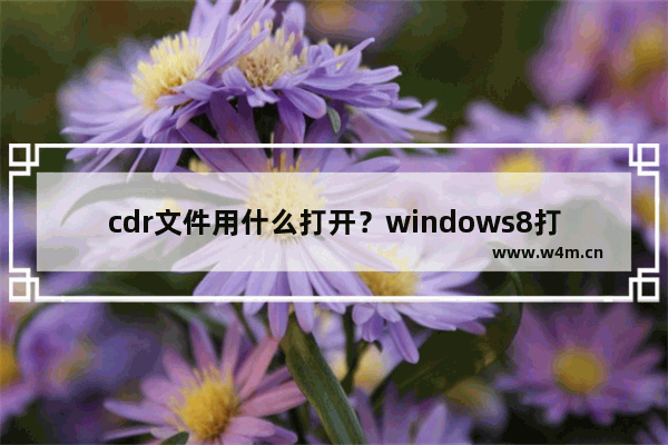 cdr文件用什么打开？windows8打开cdr文件的方法