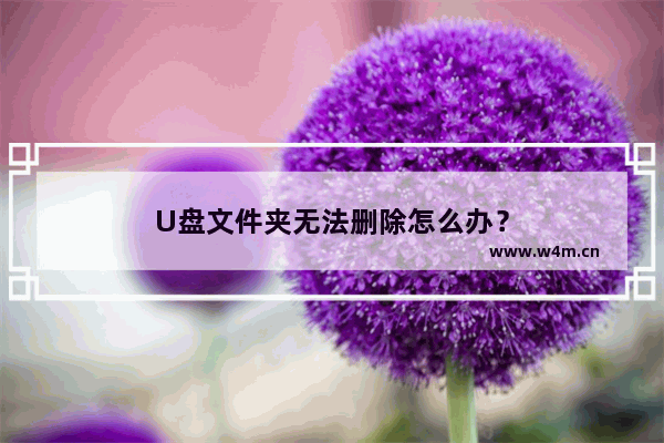 U盘文件夹无法删除怎么办？