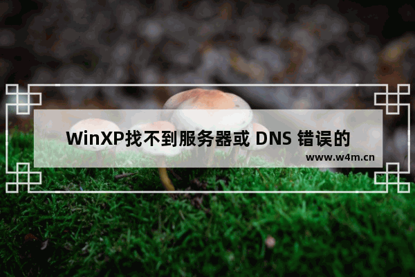 WinXP找不到服务器或 DNS 错误的解决方法