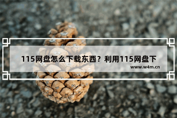 115网盘怎么下载东西？利用115网盘下载文件的方法