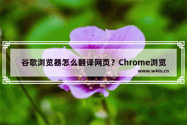 谷歌浏览器怎么翻译网页？Chrome浏览器翻译网页的方法教程