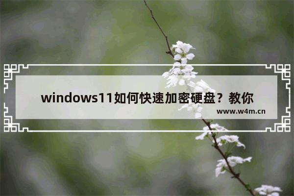 windows11如何快速加密硬盘？教你windows11上快速加密硬盘的方法