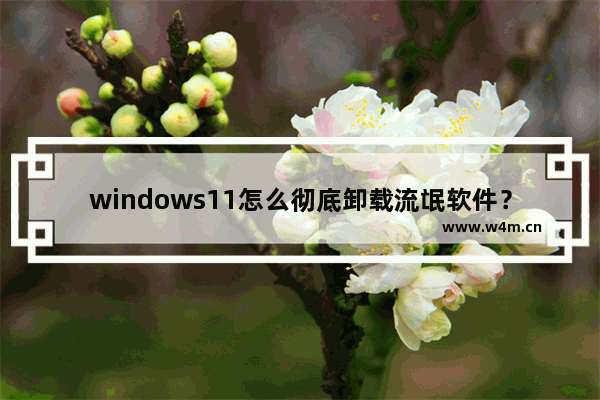 windows11怎么彻底卸载流氓软件？强制卸载流氓软件