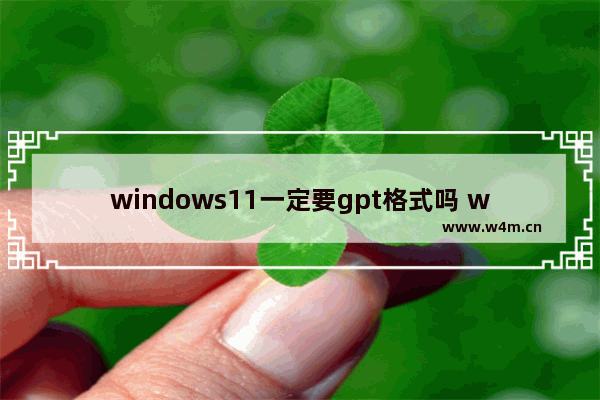 windows11一定要gpt格式吗 windows11分区详细介绍