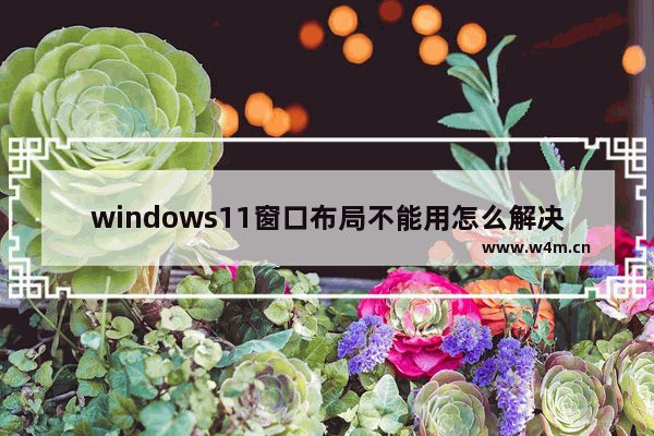 windows11窗口布局不能用怎么解决 windows11窗口布局不能用解决方法