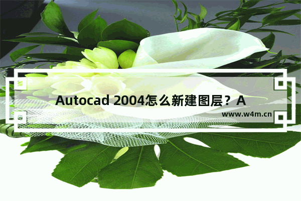 Autocad 2004怎么新建图层？AutoCAD2004新建图层的操作方法