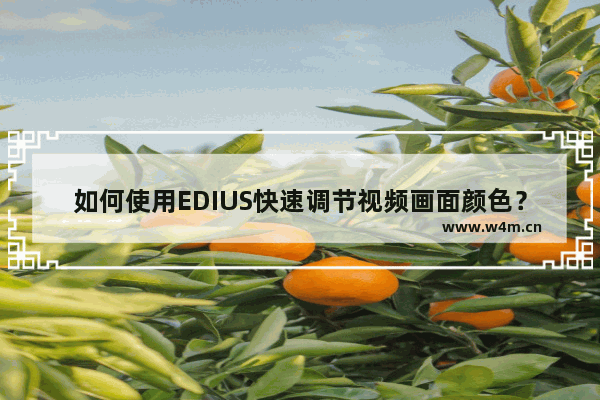 如何使用EDIUS快速调节视频画面颜色？EDIUS调节视频画面颜色的方法步骤