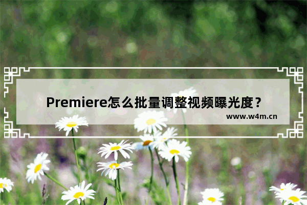 Premiere怎么批量调整视频曝光度？Premiere批量调整视频曝光度的方法步骤