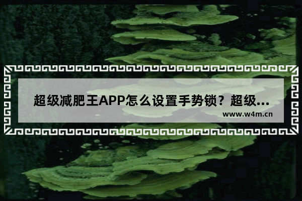 超级减肥王APP怎么设置手势锁？超级减肥王APP手势锁设置教程