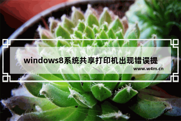 windows8系统共享打印机出现错误提示0x000006d9怎么解决？