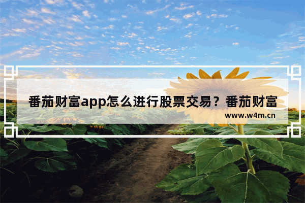 番茄财富app怎么进行股票交易？番茄财富app进行股票交易的方法