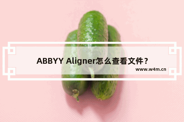 ABBYY Aligner怎么查看文件？ABBYY Aligner查看文件的方法