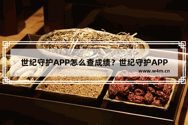 世纪守护APP怎么查成绩？世纪守护APP查成绩的方法