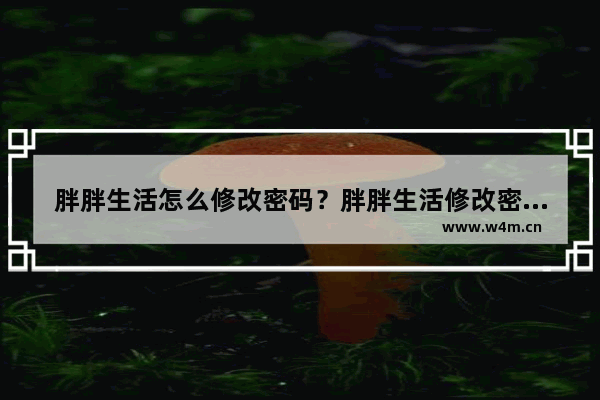 胖胖生活怎么修改密码？胖胖生活修改密码的方法