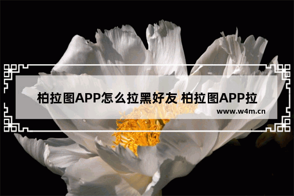 柏拉图APP怎么拉黑好友 柏拉图APP拉黑好友的简单教程