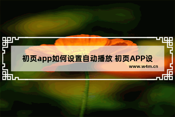 初页app如何设置自动播放 初页APP设置自动播放的图文教程