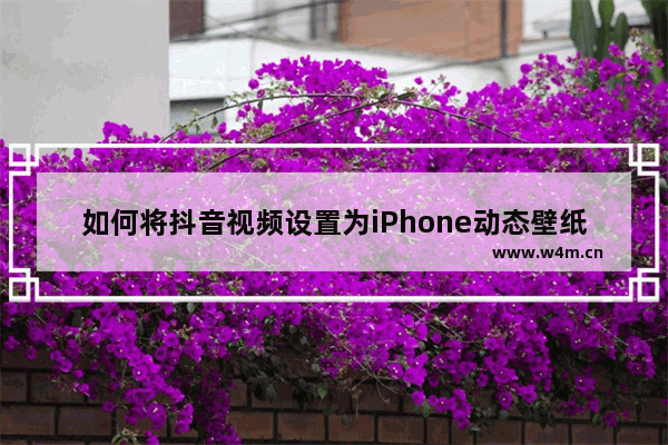 如何将抖音视频设置为iPhone动态壁纸？