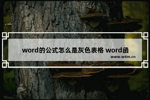 word的公式怎么是灰色表格 word函数公式大全