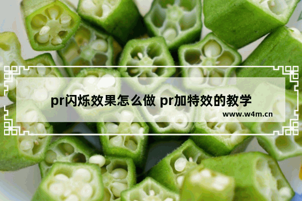 pr闪烁效果怎么做 pr加特效的教学