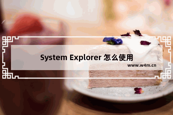 System Explorer 怎么使用？