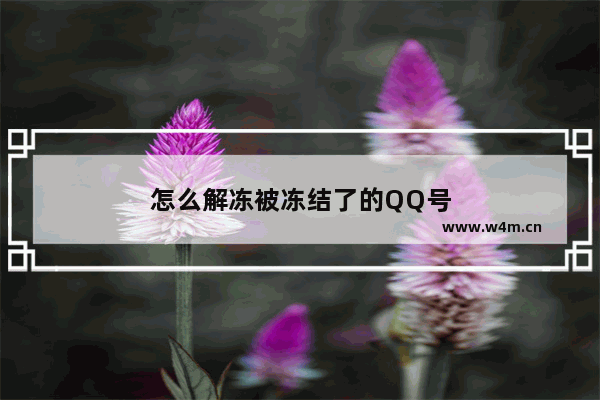 怎么解冻被冻结了的QQ号