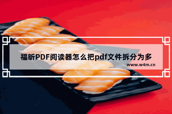 福昕PDF阅读器怎么把pdf文件拆分为多个文件?